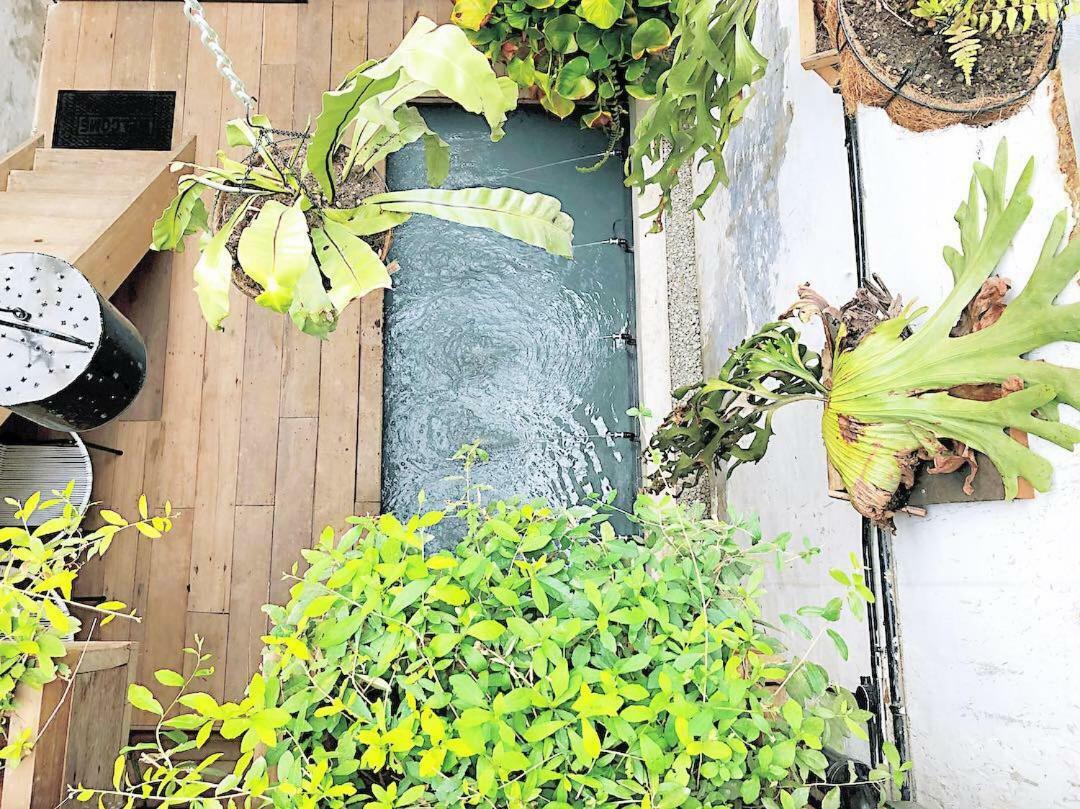 Rimba Jonker, Melaka Heritage Residance Malacca Exterior foto
